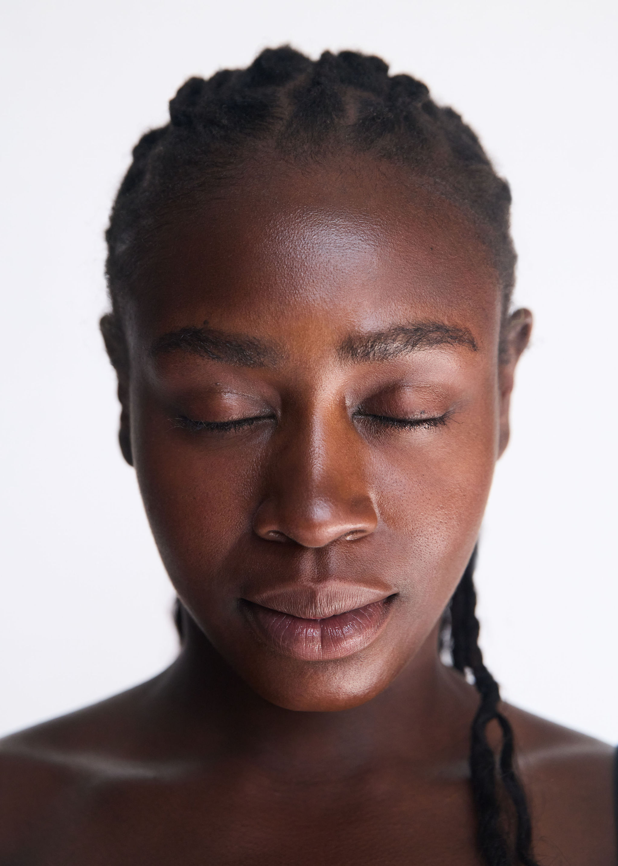 A delicate frosty plant in a winter landscape