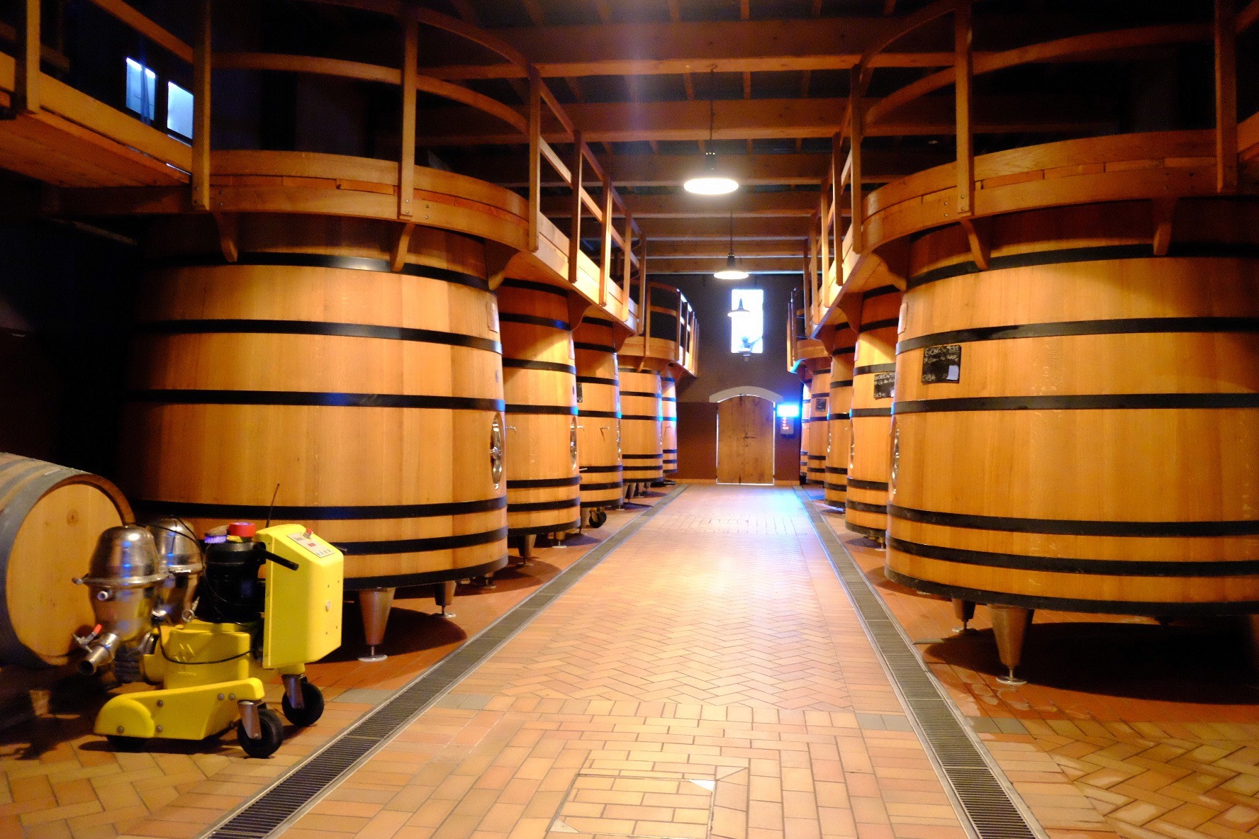 A close-up of two people holding hands, one wearing a denim jacket. The background is softly blurred, suggesting a tender, intimate moment in warm light.