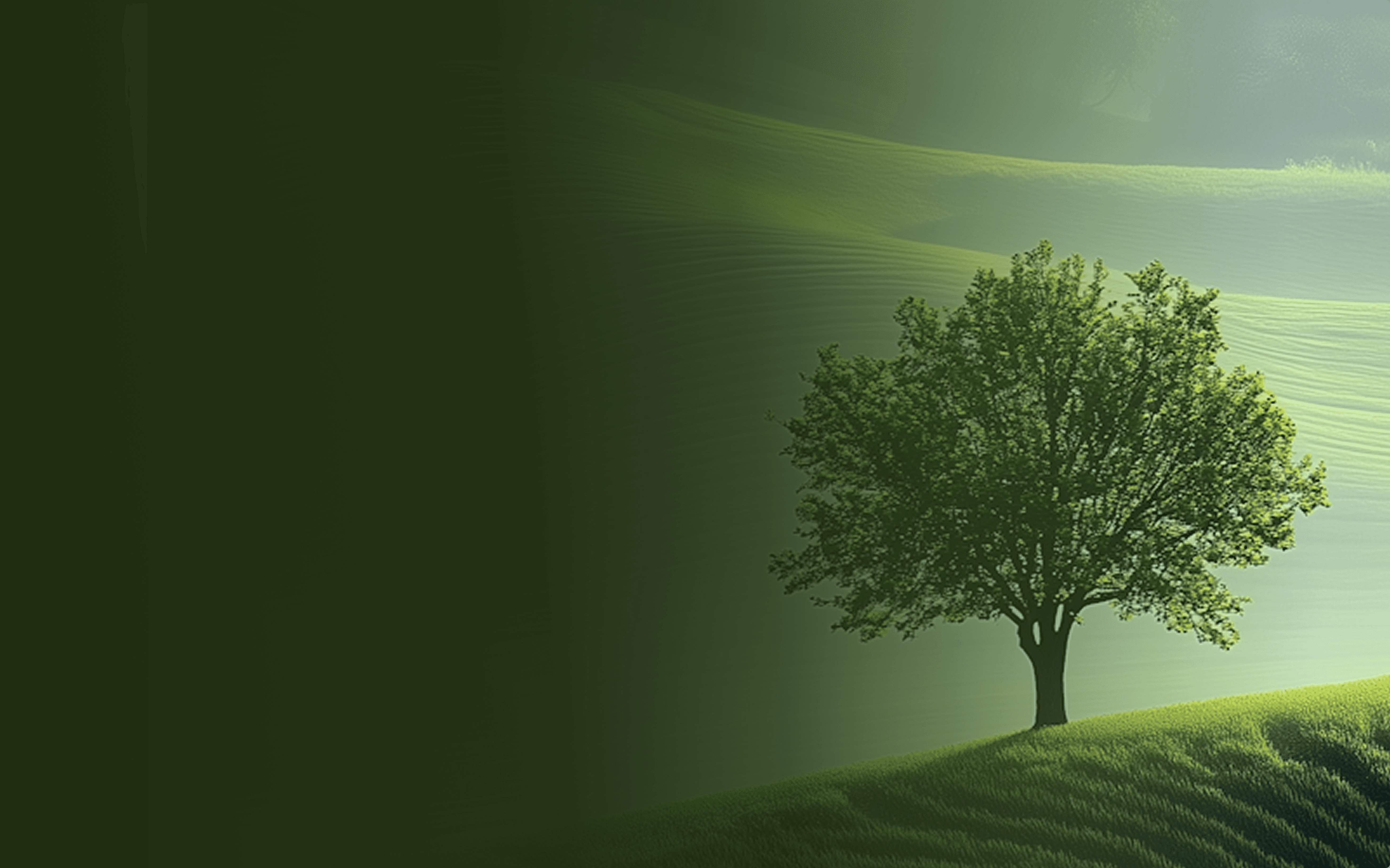 A solitary tree on a grassy hill with a green, nature-themed background.