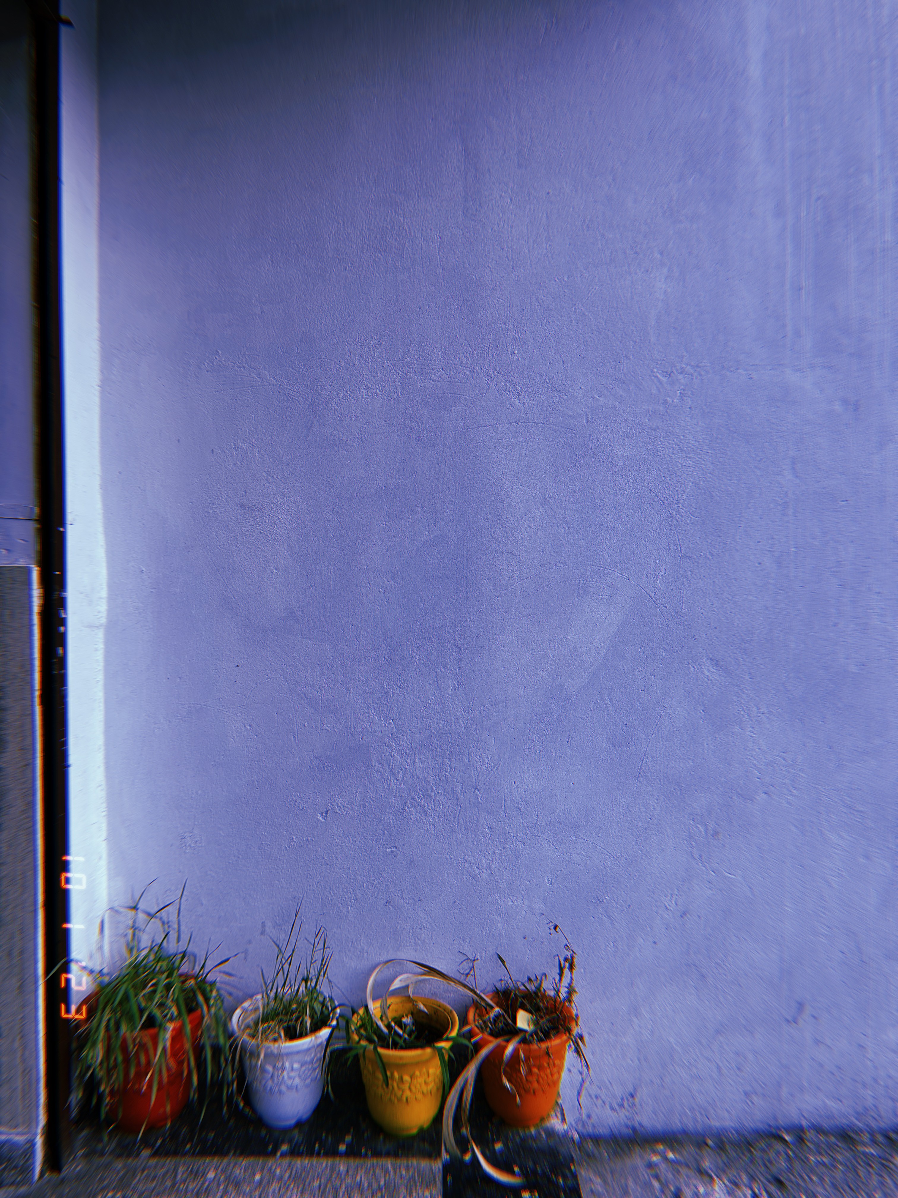 Small plant pots against a pale wall