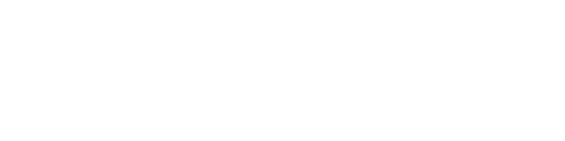 the write agency logo