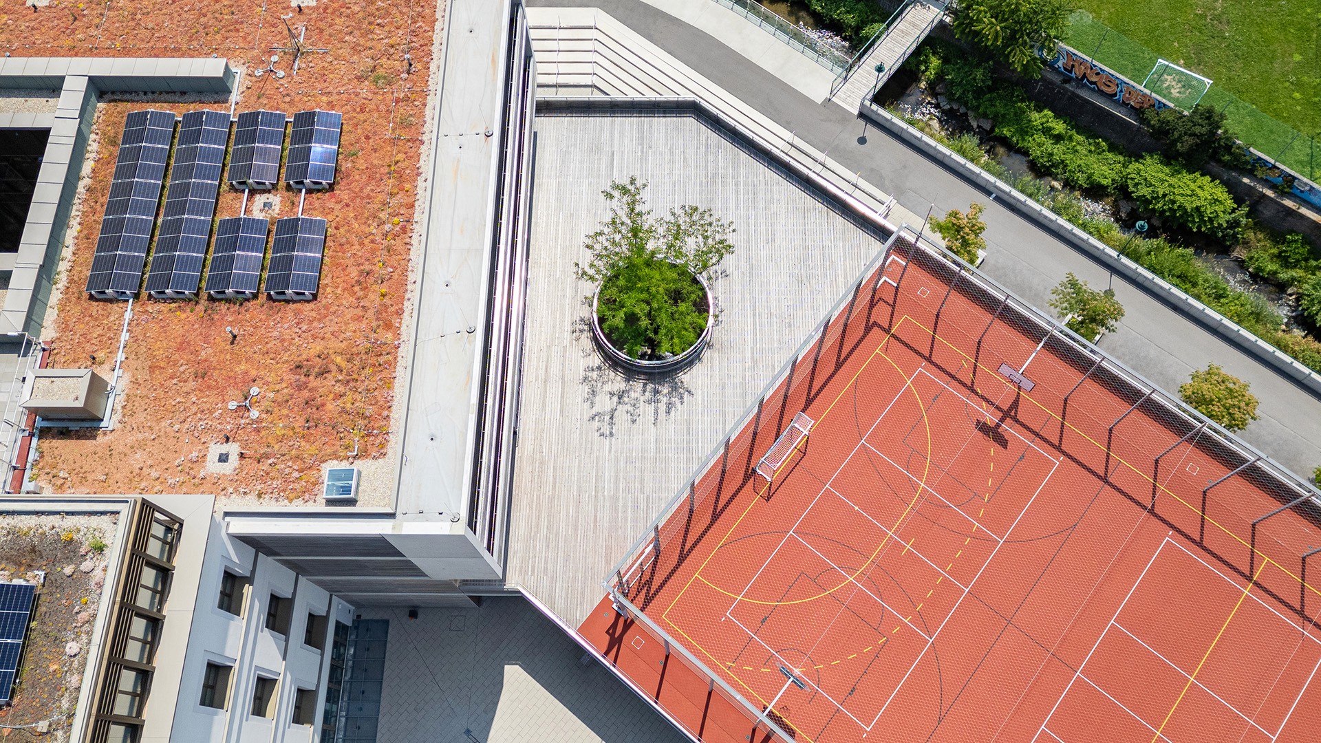 Luftaufnahme eines Schulhofs mit zentral gepflanztem Baum, Sportplatz und Gebäudedach.