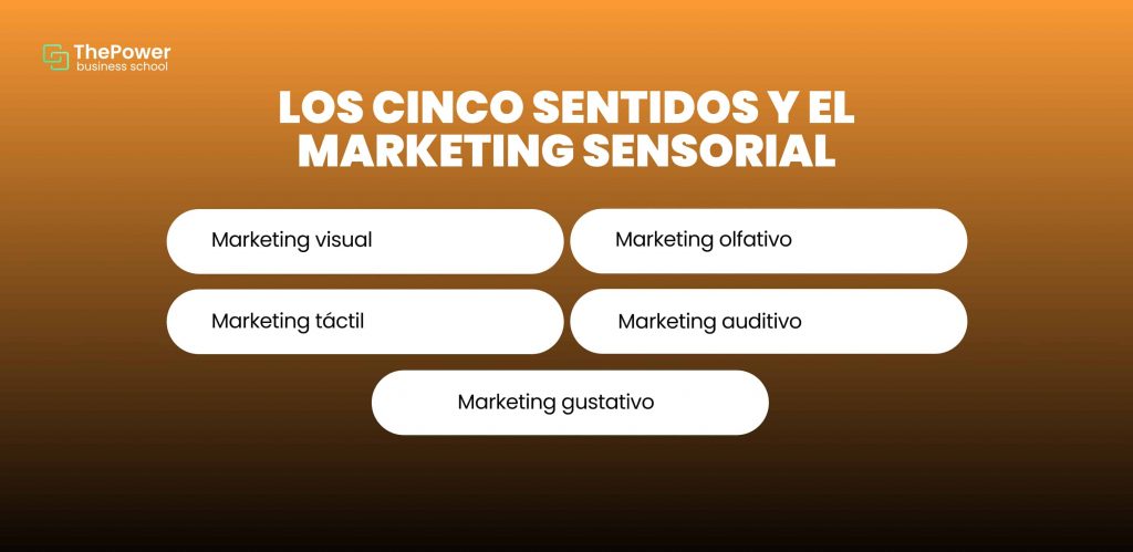 Los cinco sentidos y el marketing sensorial