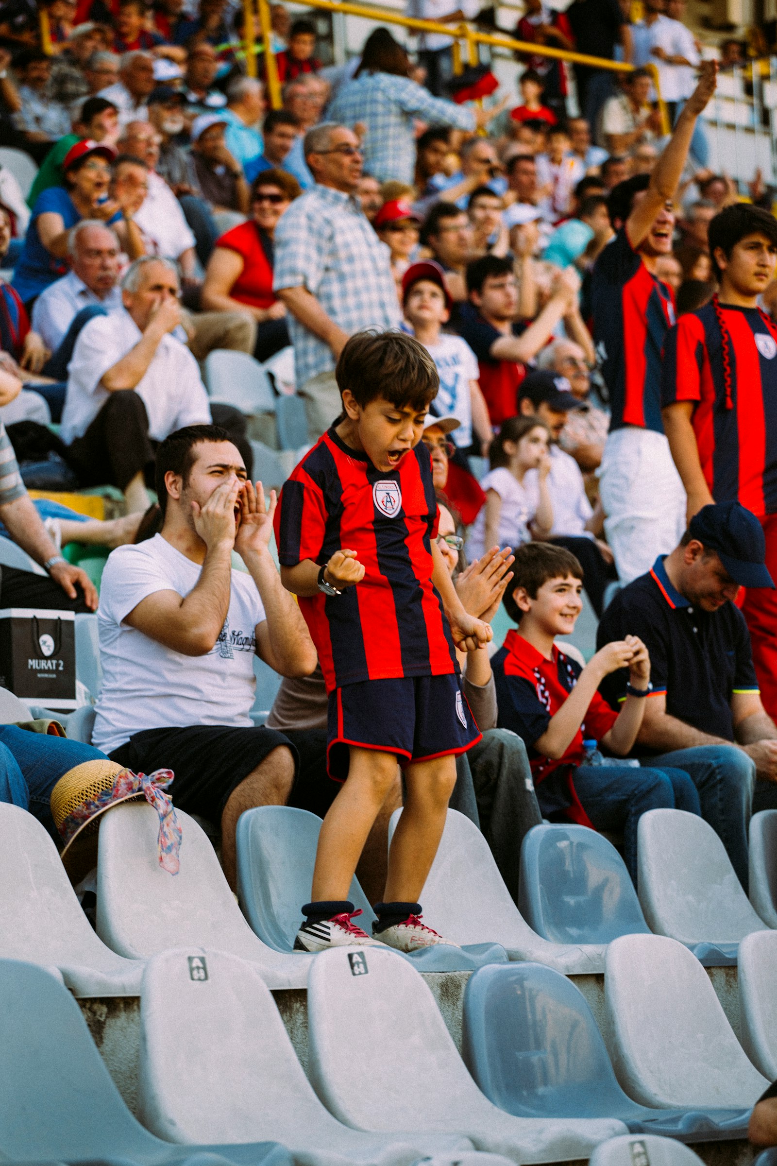 Fans cheering at a sports game