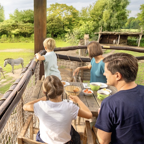 4人家族が緑豊かで自然に囲まれたバルコニーで、シマウマを眺めながら朝食を楽しんでいます。