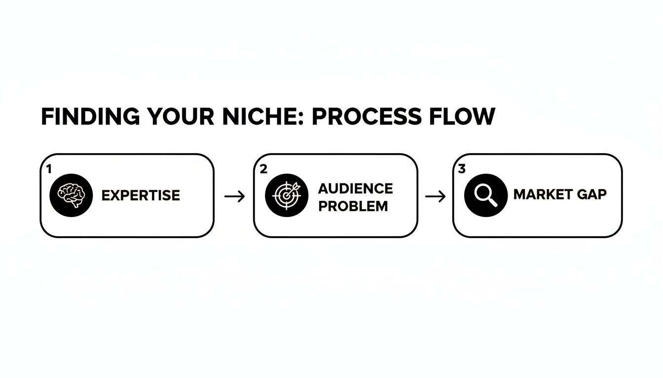 Process flow for finding your niche: expertise, audience problem, and market gap.