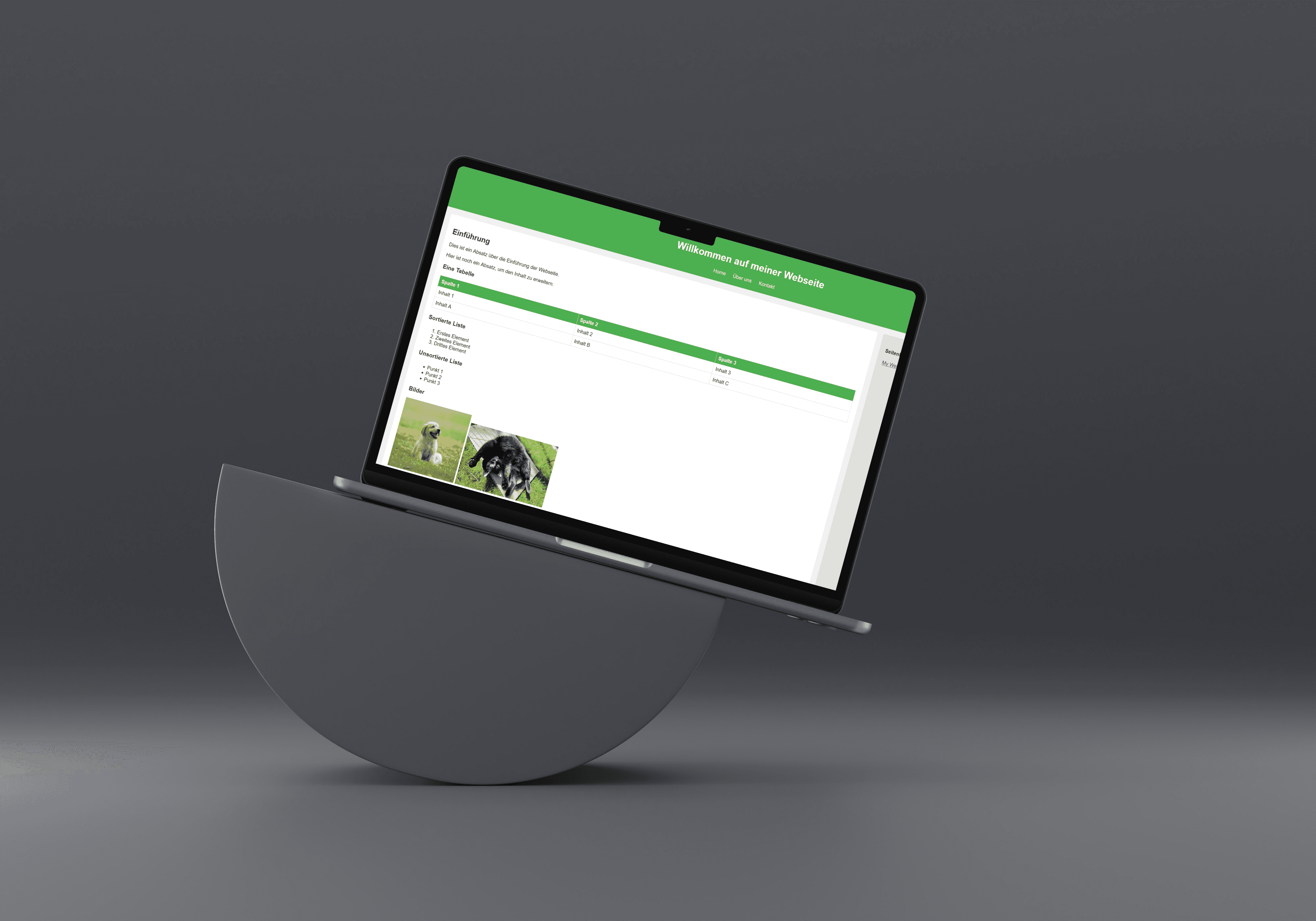 Static Page on a laptop