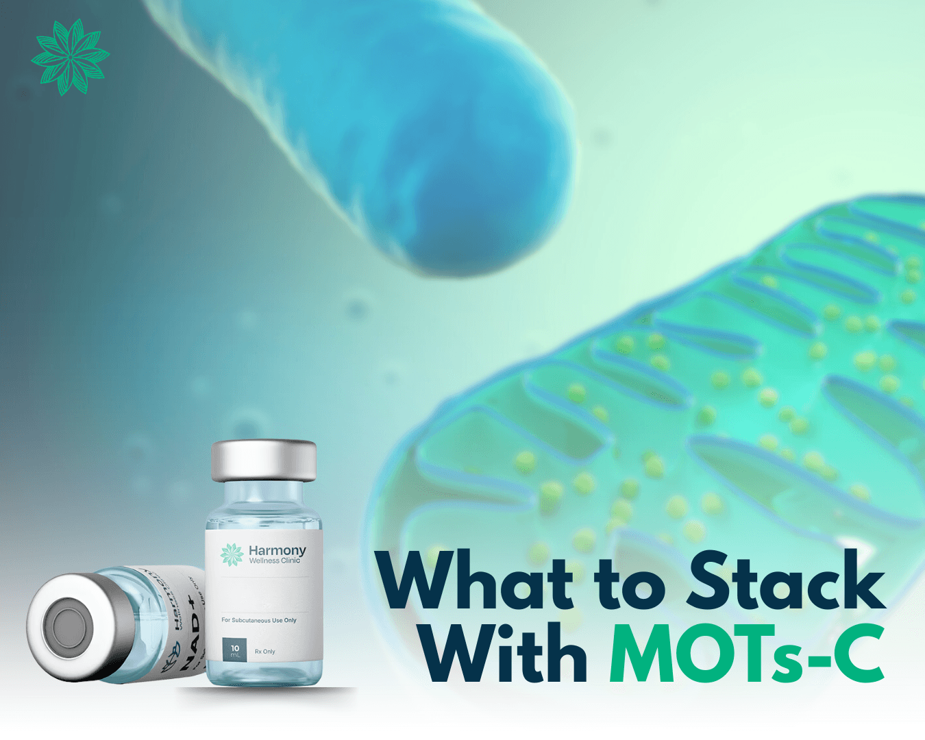 MOTs-C stack plan for energy, fat loss, and longevity during a telehealth consultation