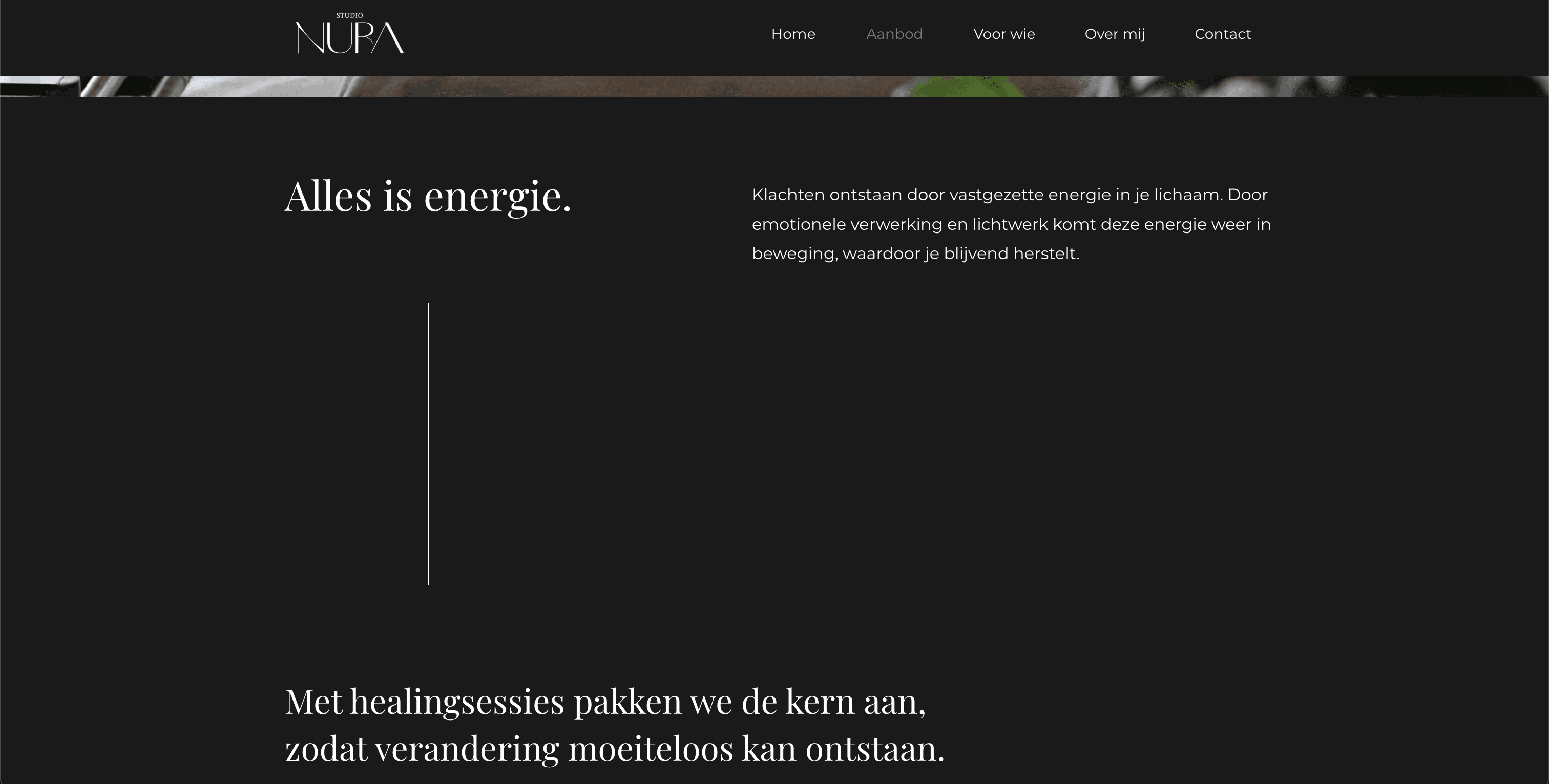 A profile picture of this person