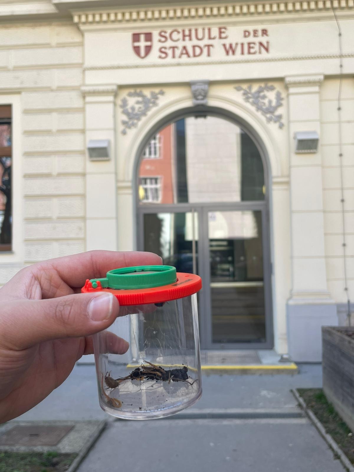 Polka Dot Yayoi Kusama