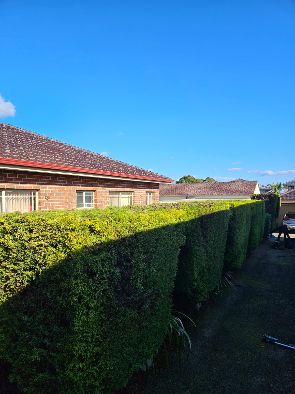 Professional Landscaping Services in Parramatta, Blacktown & Surrounding Suburbs