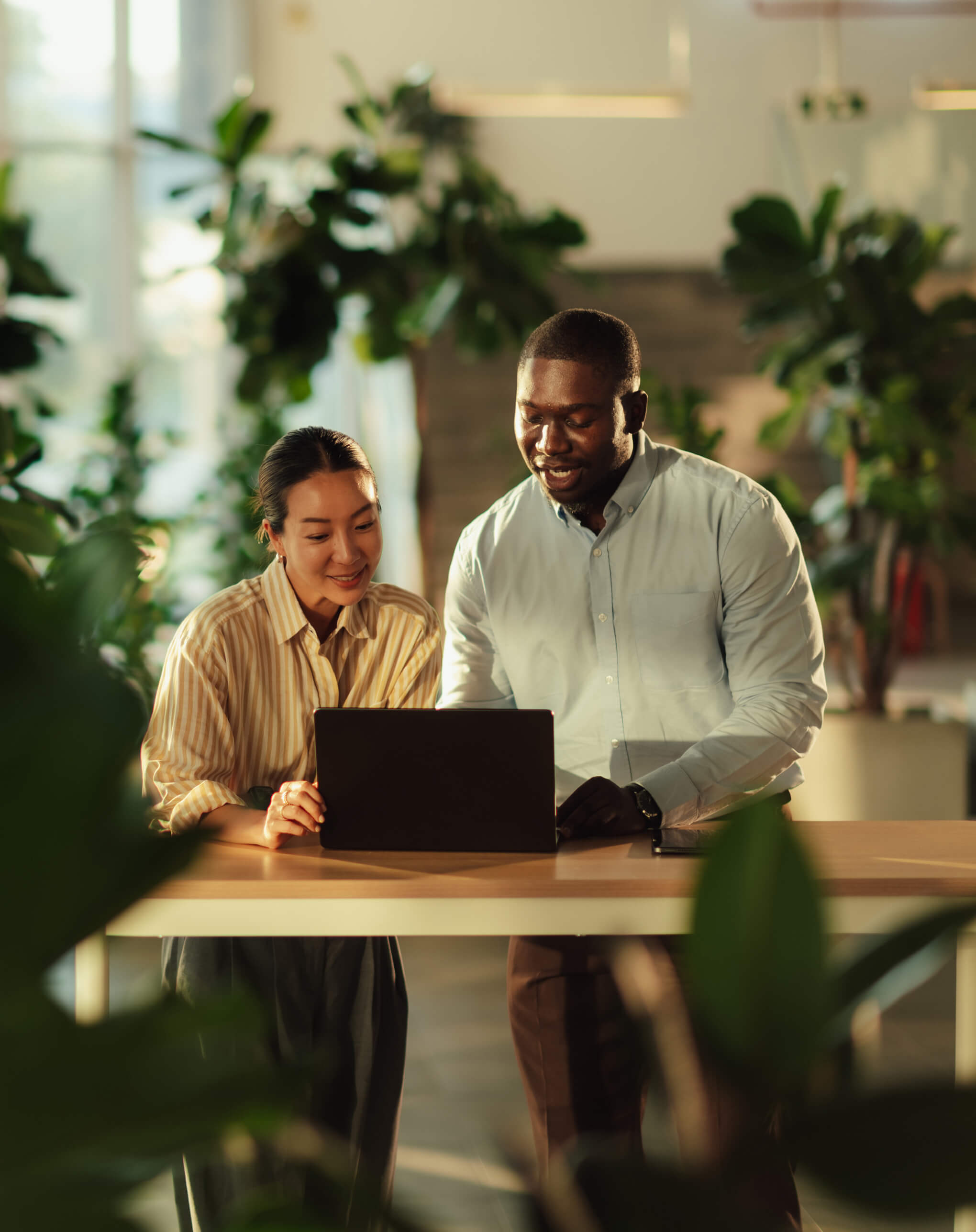 Manifest modern immigration law firm
