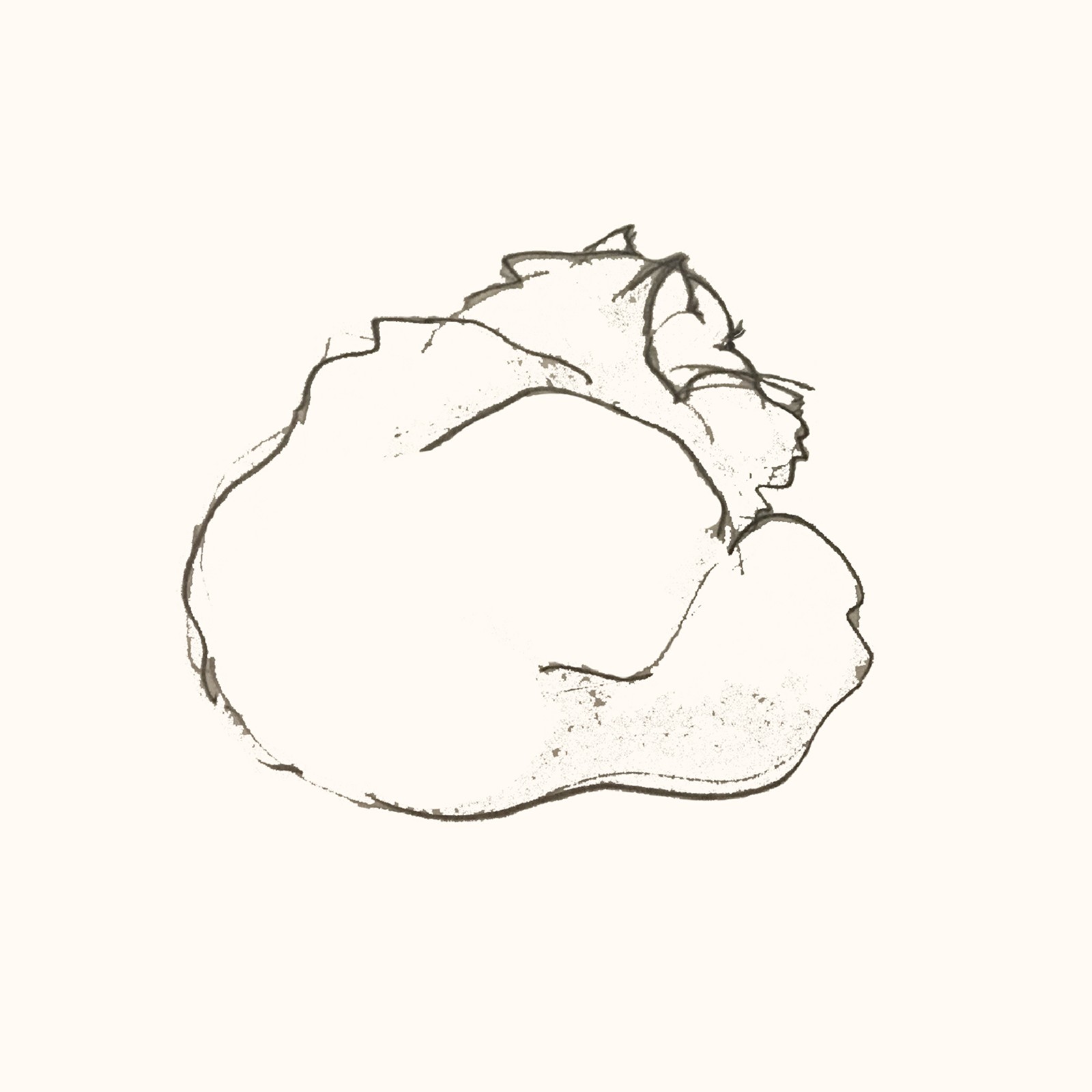 Illusztráció, Selyem - Atelier Soie