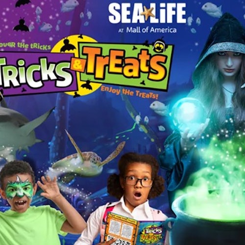 兩個小孩，一個穿著綠色服裝，另一個驚訝地站在海洋生物的背景和一個手持發光球的披風人物面前。上面有「把戲與款待」的字樣。