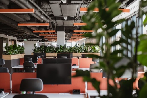 rośłiny i rekawiczka