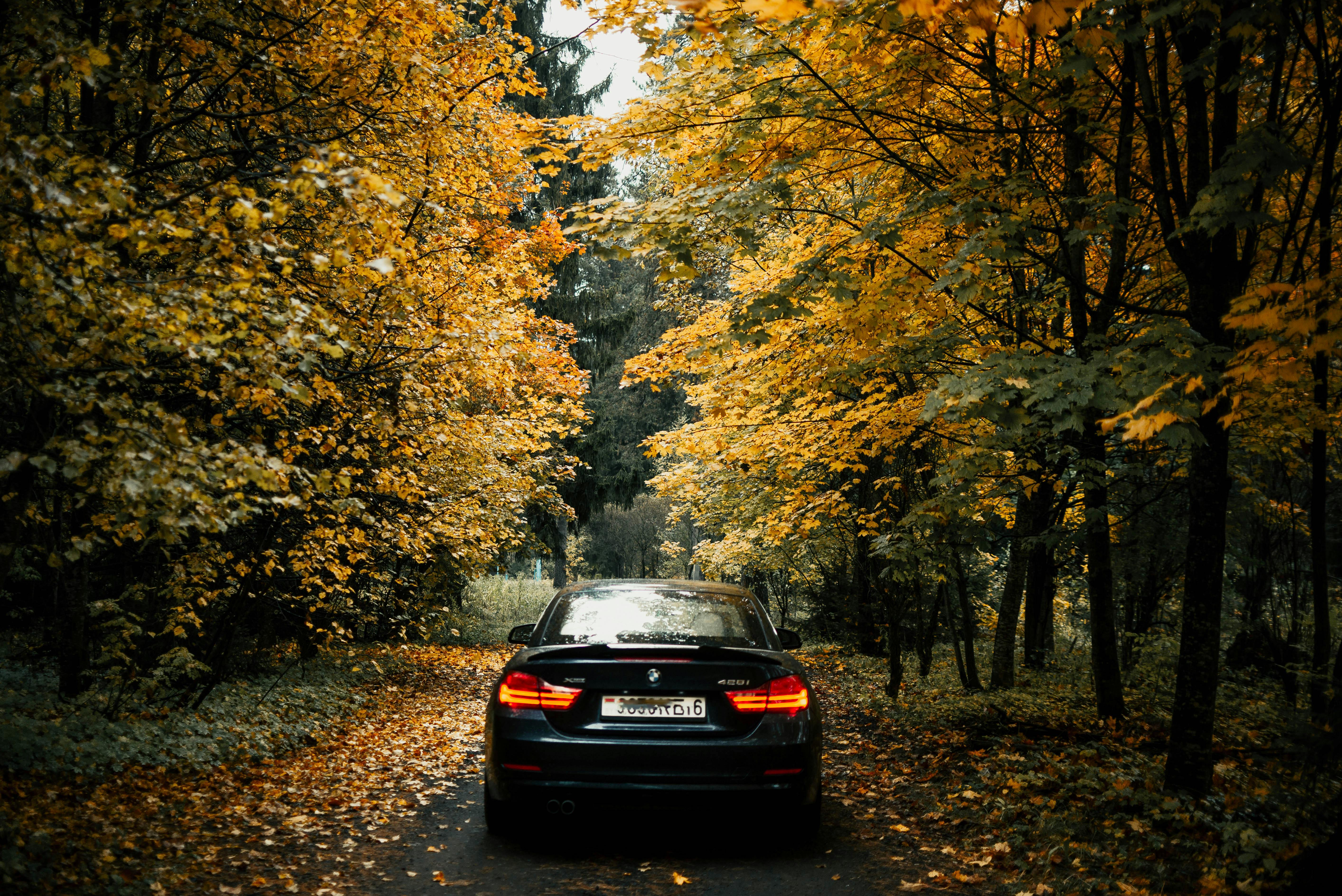 man drawing on dry-erase board