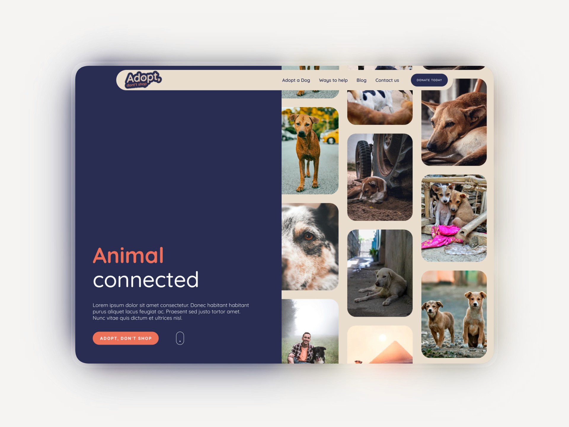 A dog laying under a tree in front of a house