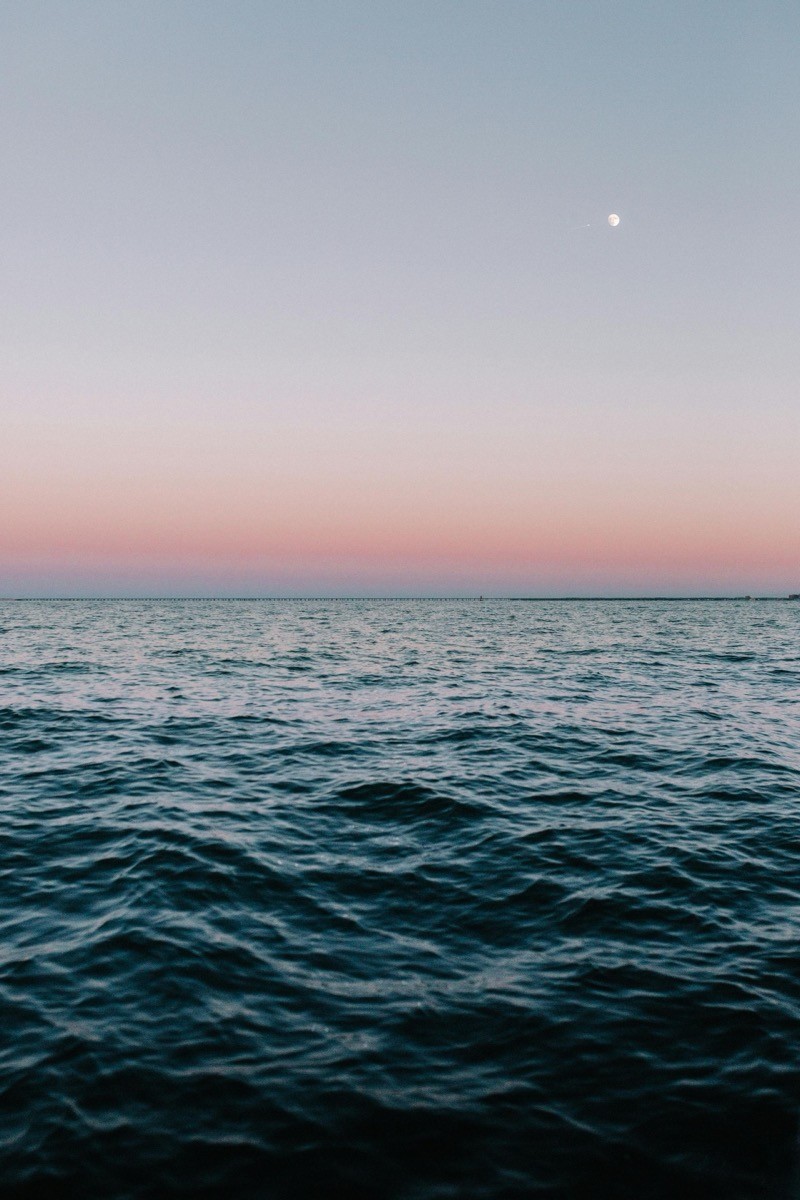 Embracing Niche Markets: A Strategy for Success in the Evolving Travel Industry