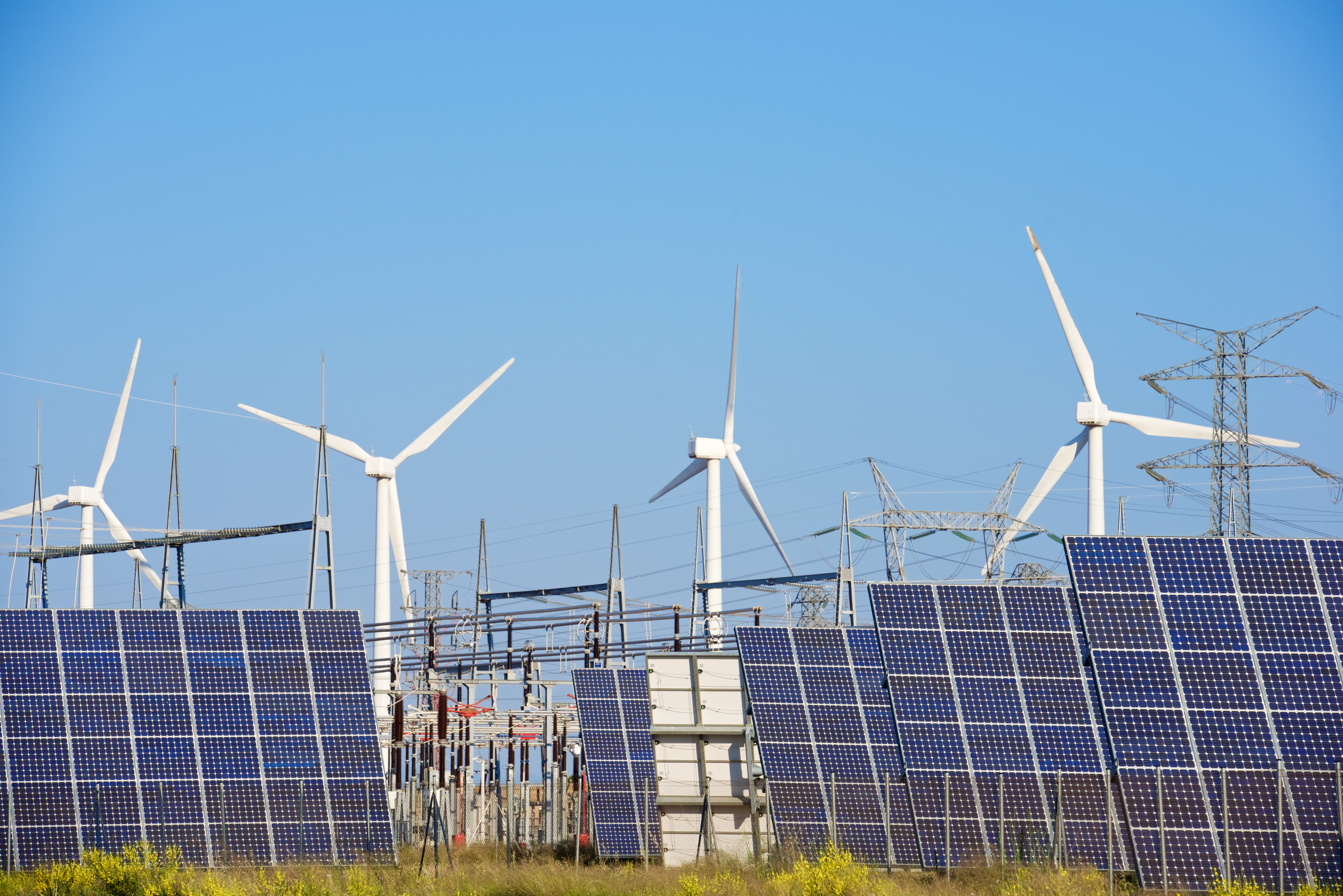 Young woman smiling gently in natural sunlight, with warm shadows cast across a minimal background.