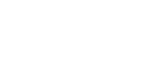 DCM Shriram