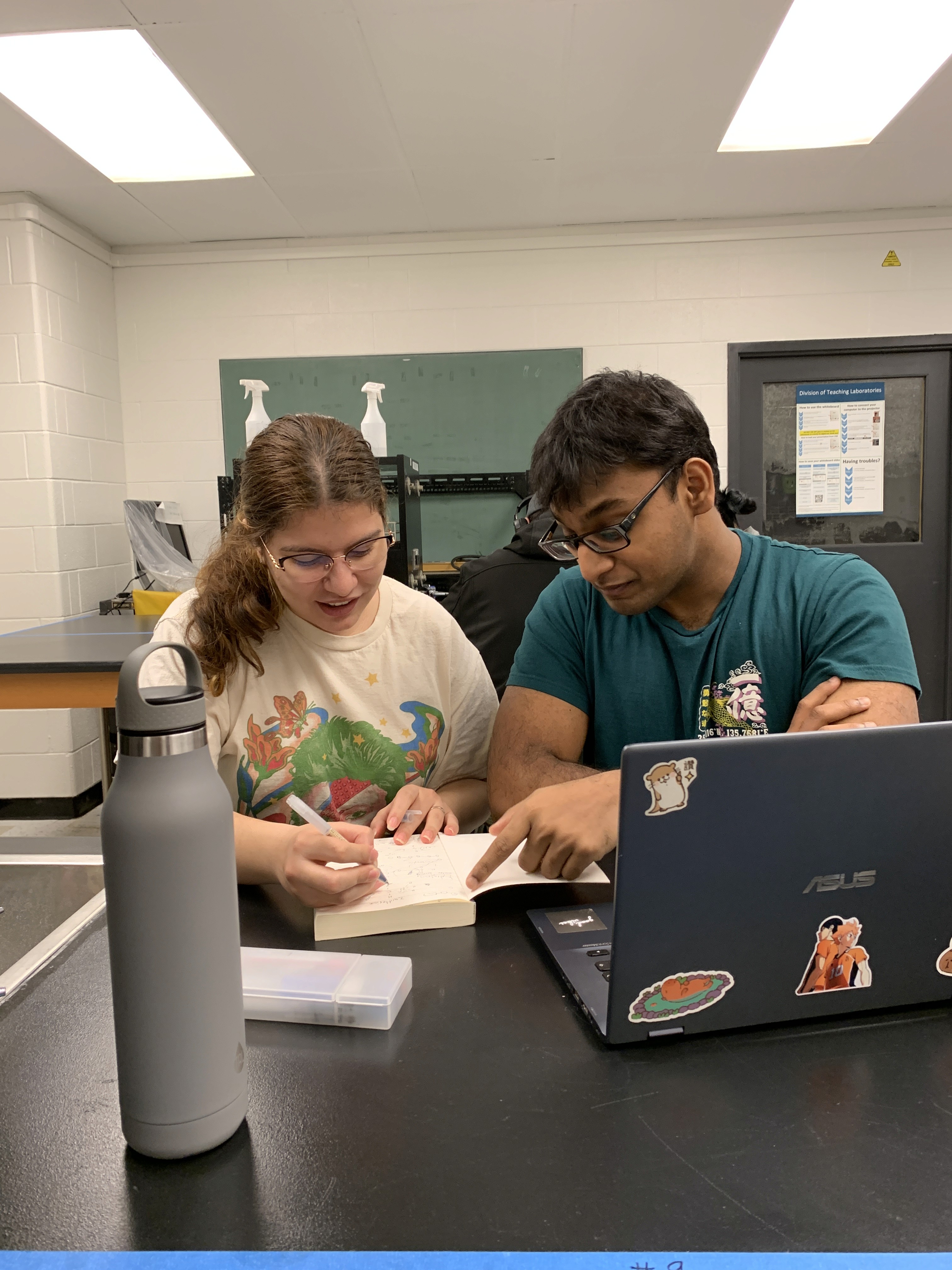 A green butterfly rests on a flower.