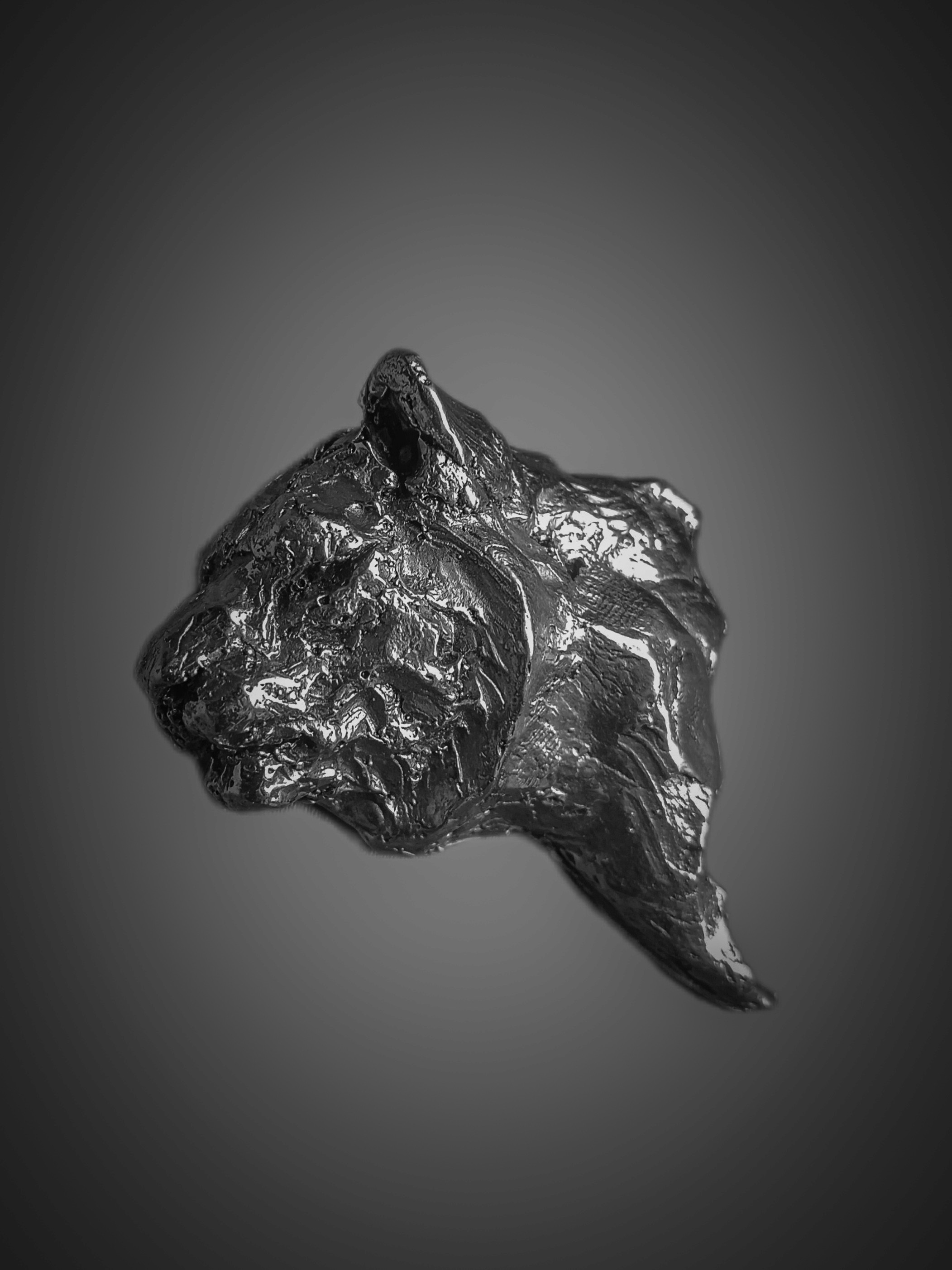 Handcrafted impressionistic Bronze Tigress Brooch wearable sculpture from wearables collection by sculptor Priyam Tiwari