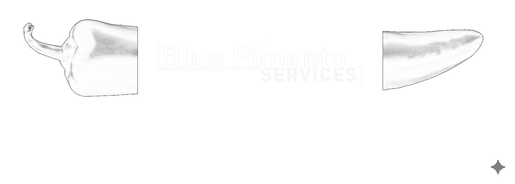 Logo Acidel Plani Travel : un logiciel métier pour les agences de voyages