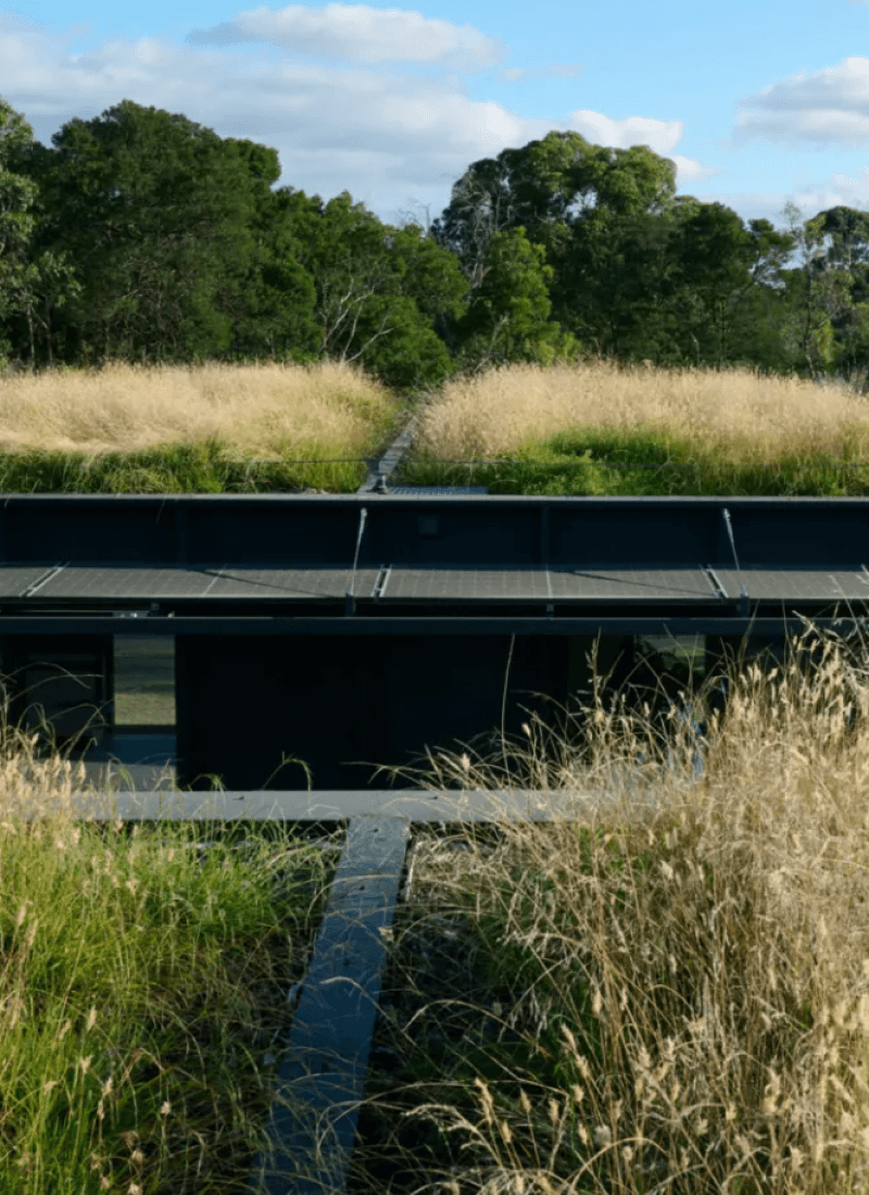 man in black crew neck shirt