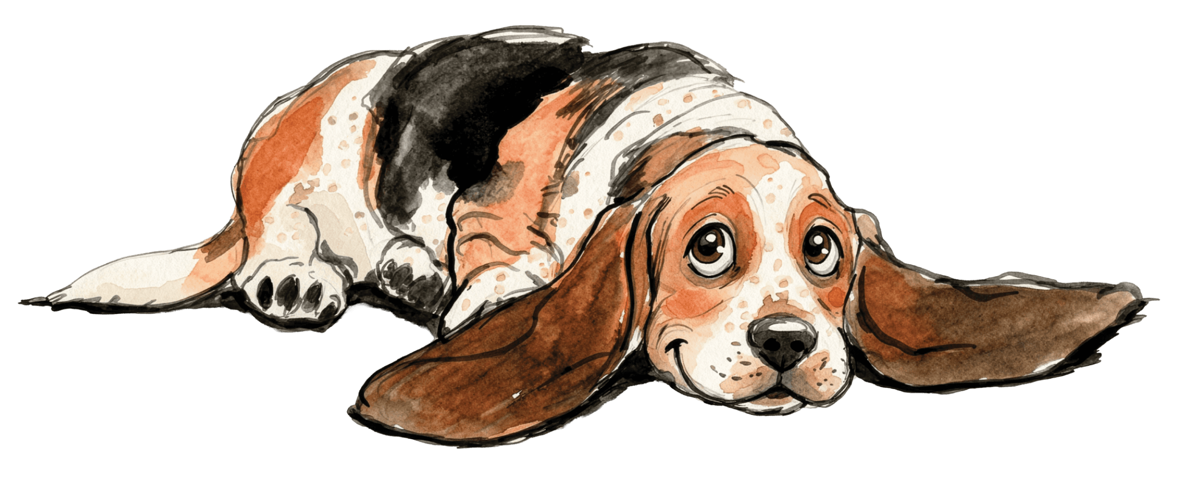 A cute basset hound lying on the ground with its ears flopped down and a relaxed expression.