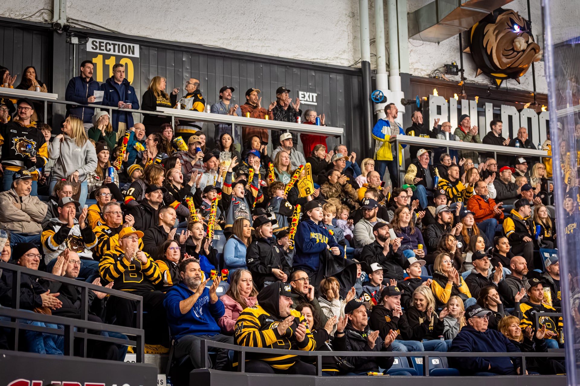 Brantford Bulldogs Crowd