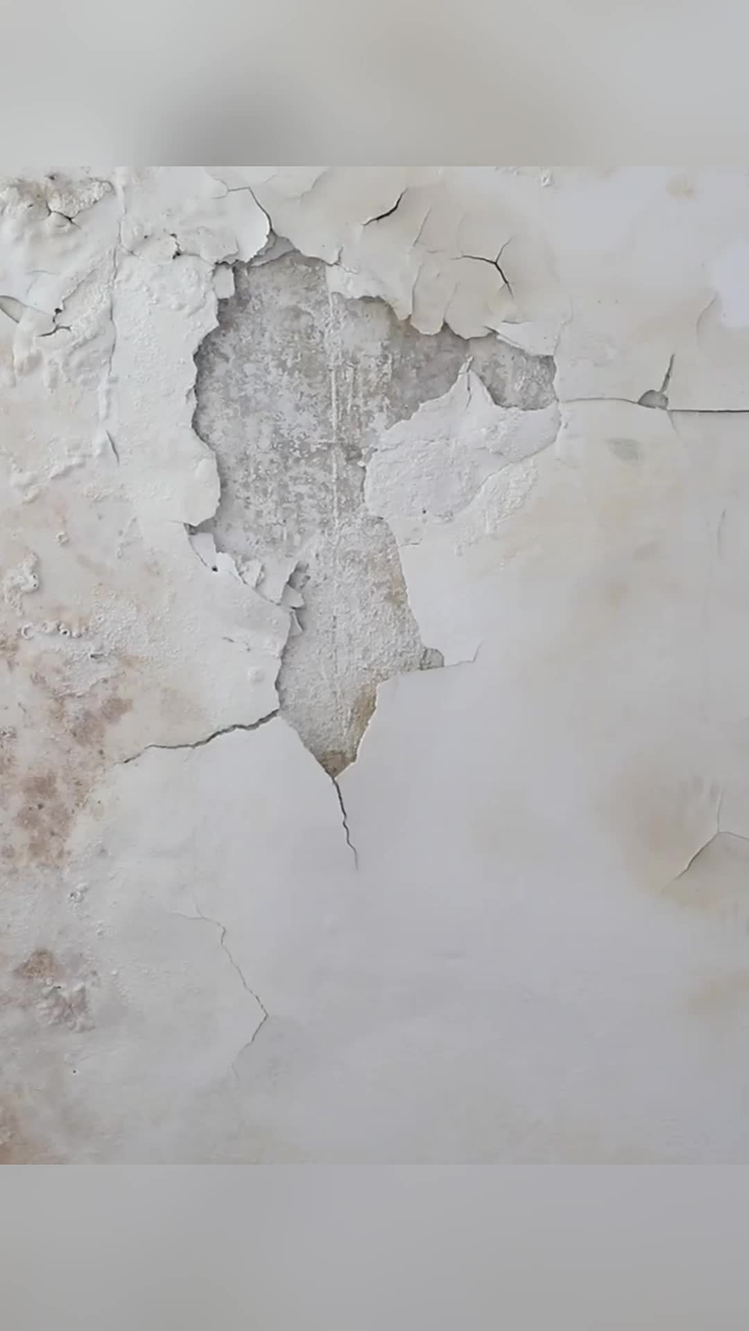 School Design School Renovation Building 校園升級 學校裝修 翻新學校 學校設計 學校工程 保養校園
