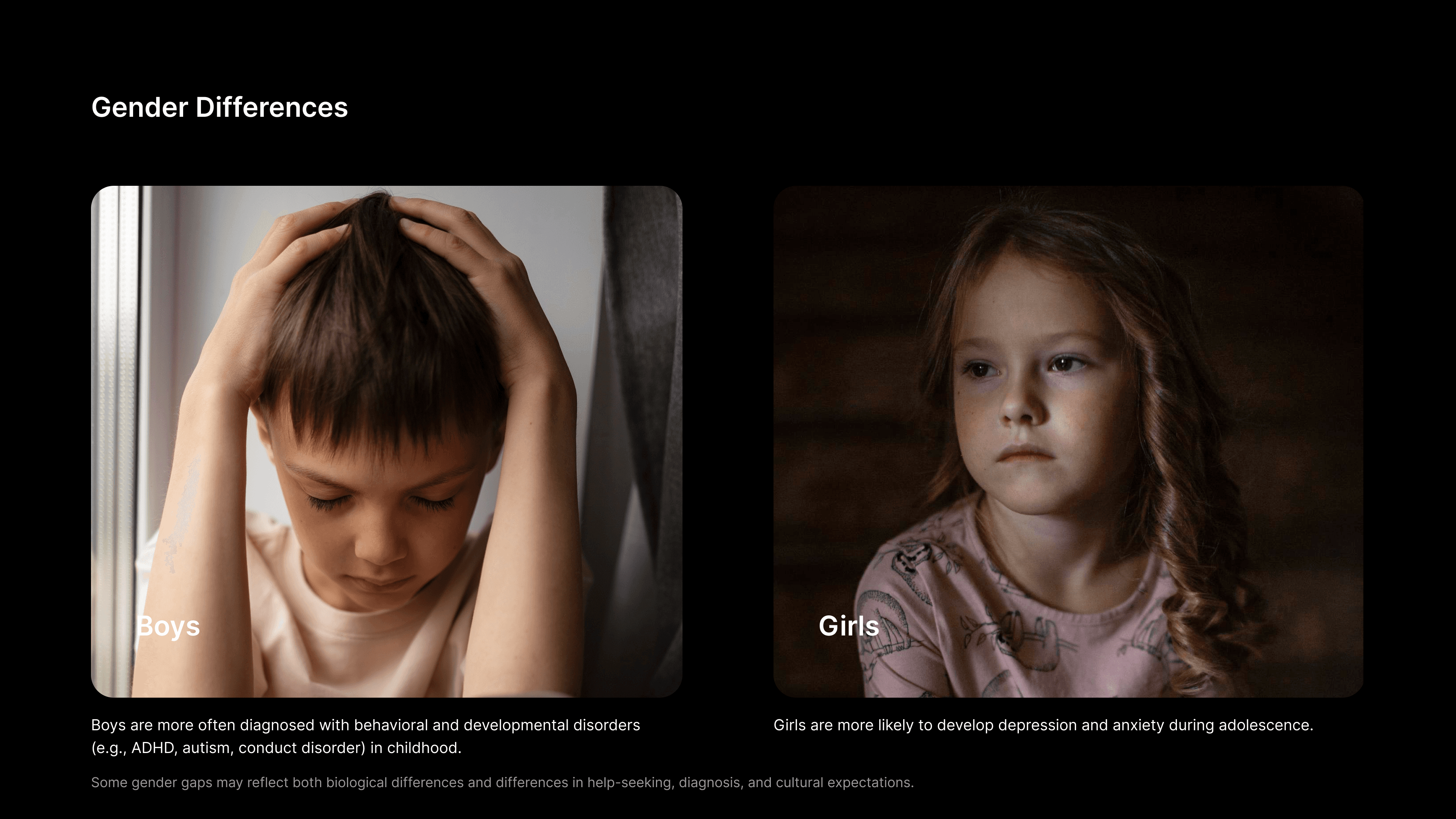 Large Project Gallery Image #1