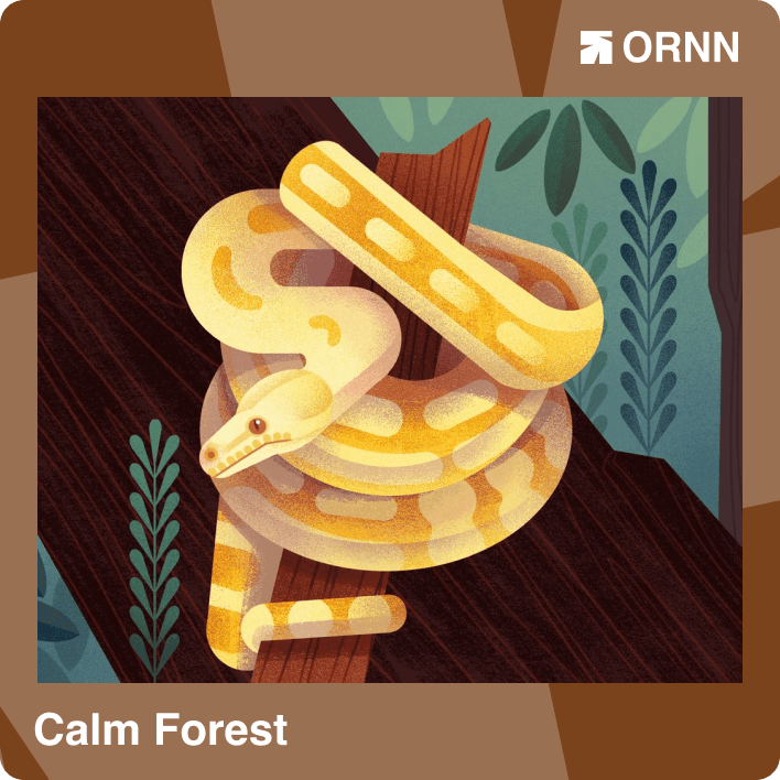 Calm Forest