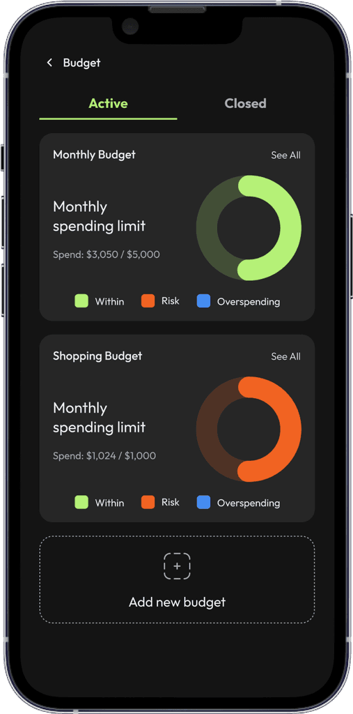 FinTrack app screenshot showing monthly budget tracking