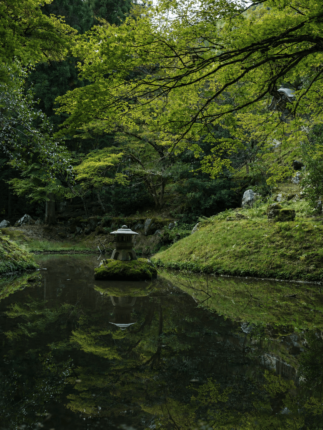 A serene and still image of natural reflections of green trees in the water 