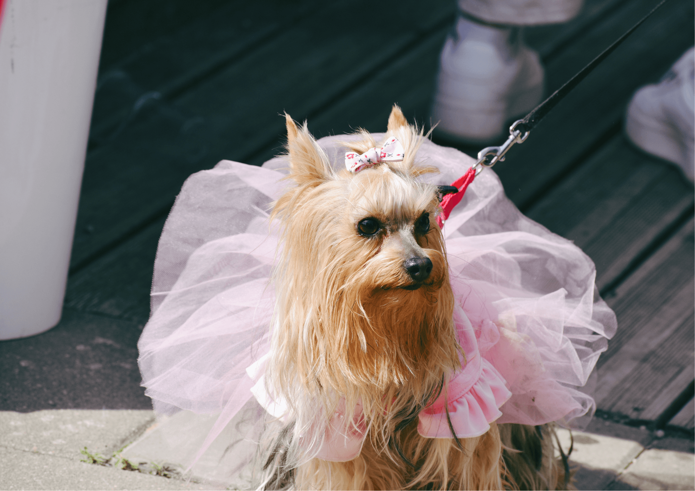 a woman looking at phone screen