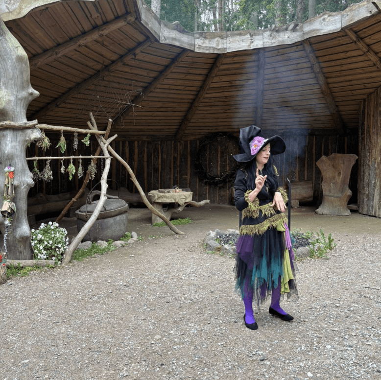 The Fairy Forest, home to the Forest Mother, the Forest King, the Witch, and Stingy.