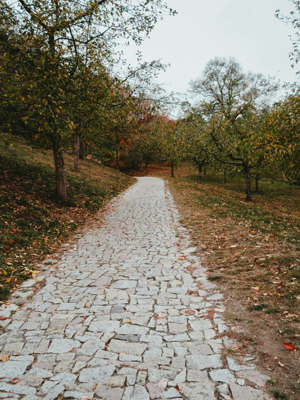 Stone Path