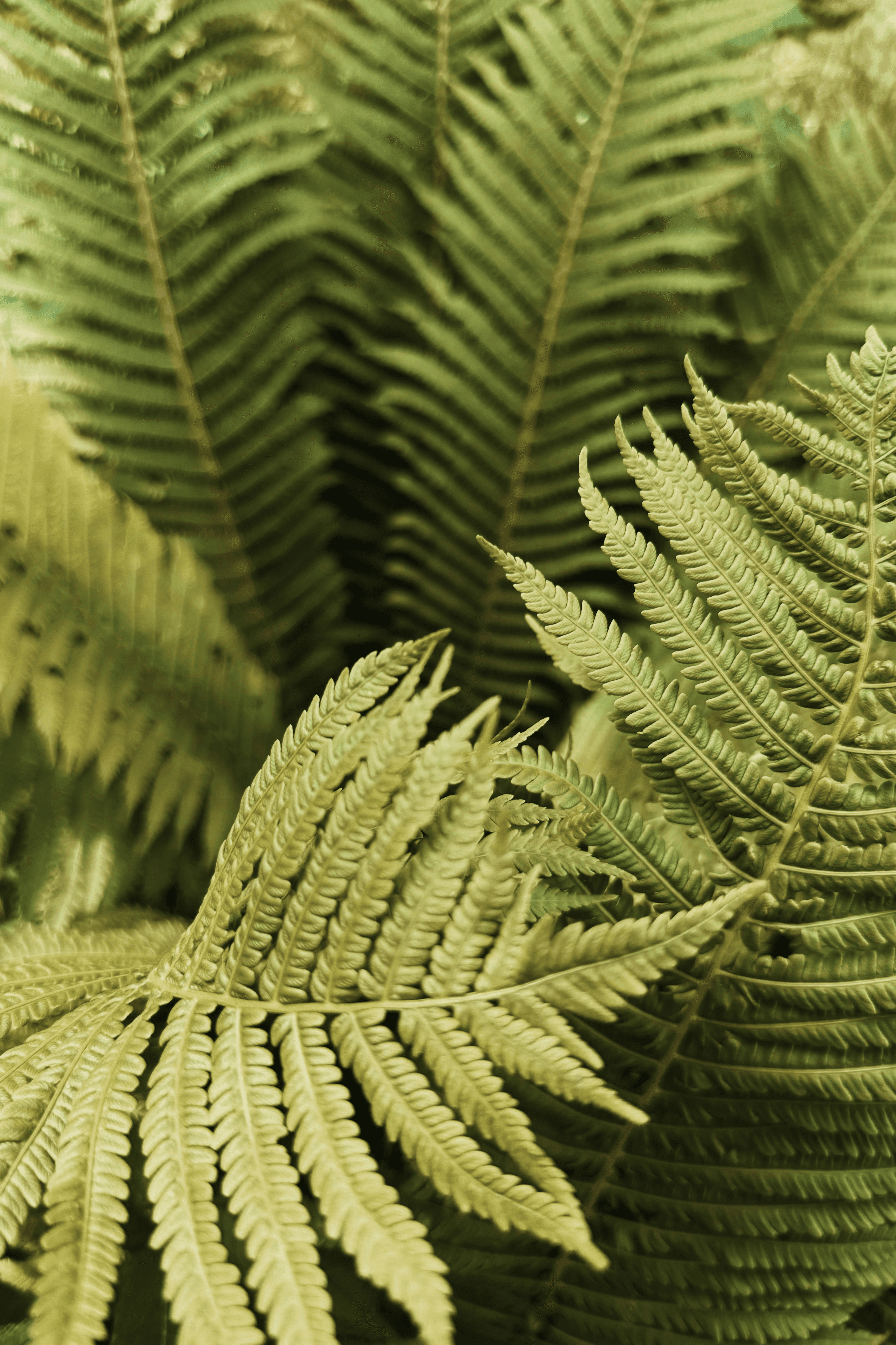 black laptop computer on white table