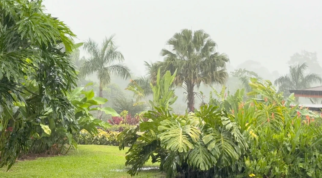 Rainy season in Costa Rica