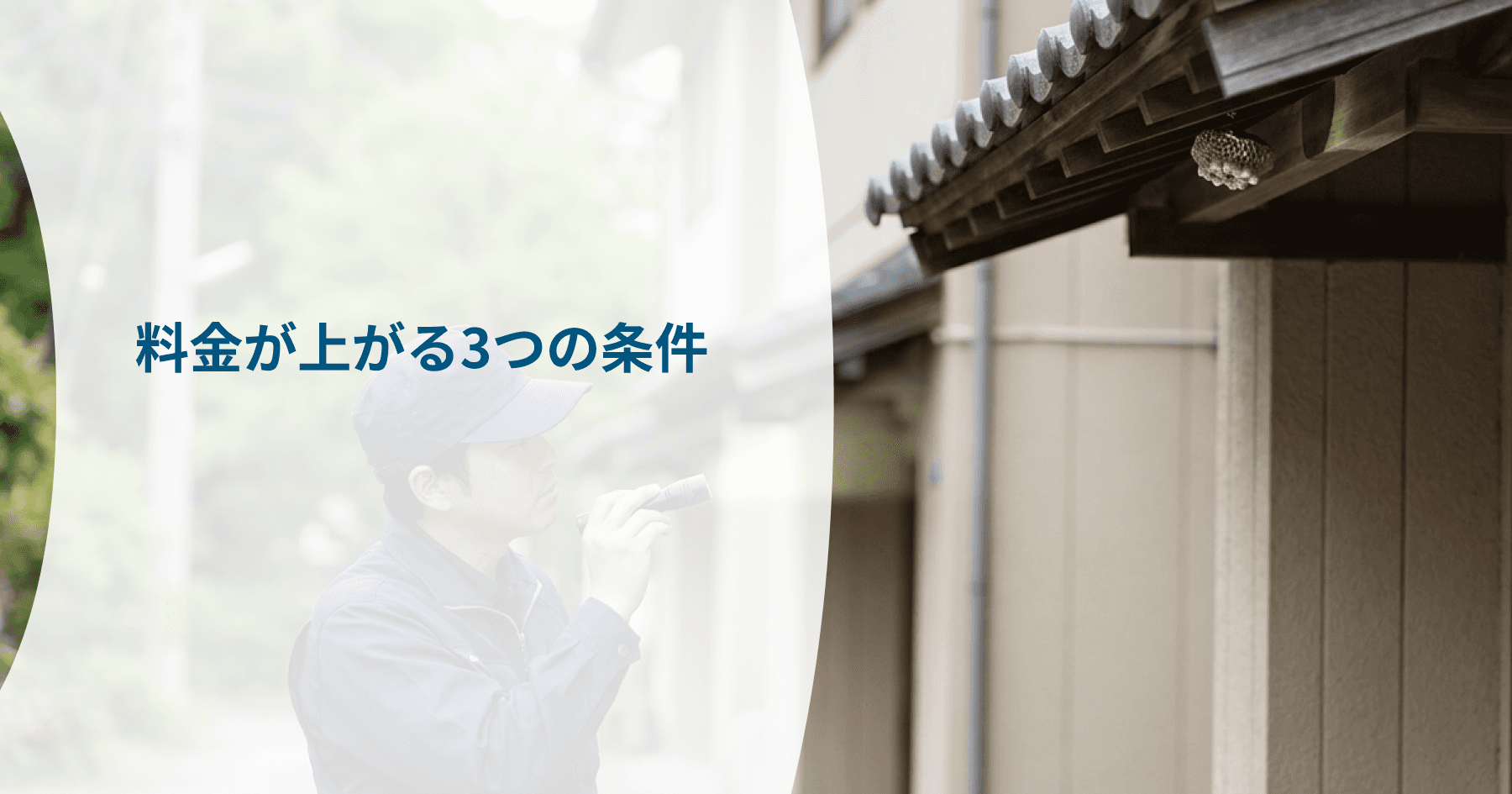 画像プレースホルダー(差し替え用)
