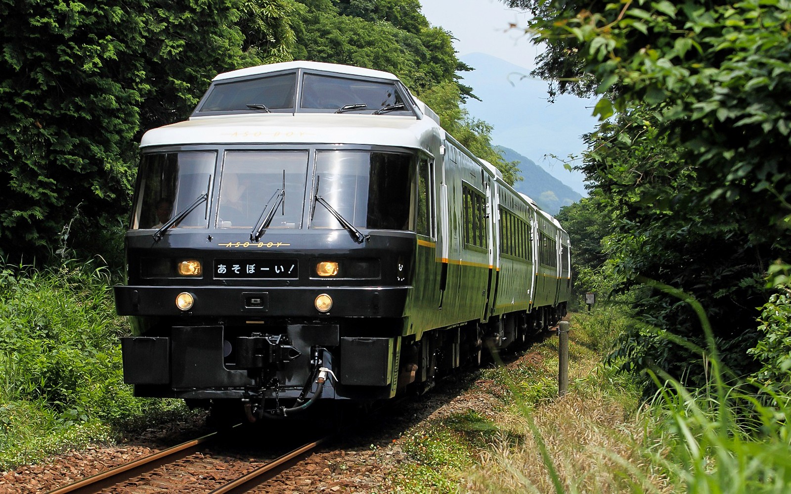 Train traveling through lush greenery in Kyushu, Japan, associated with JR North Kyushu Rail Pass.