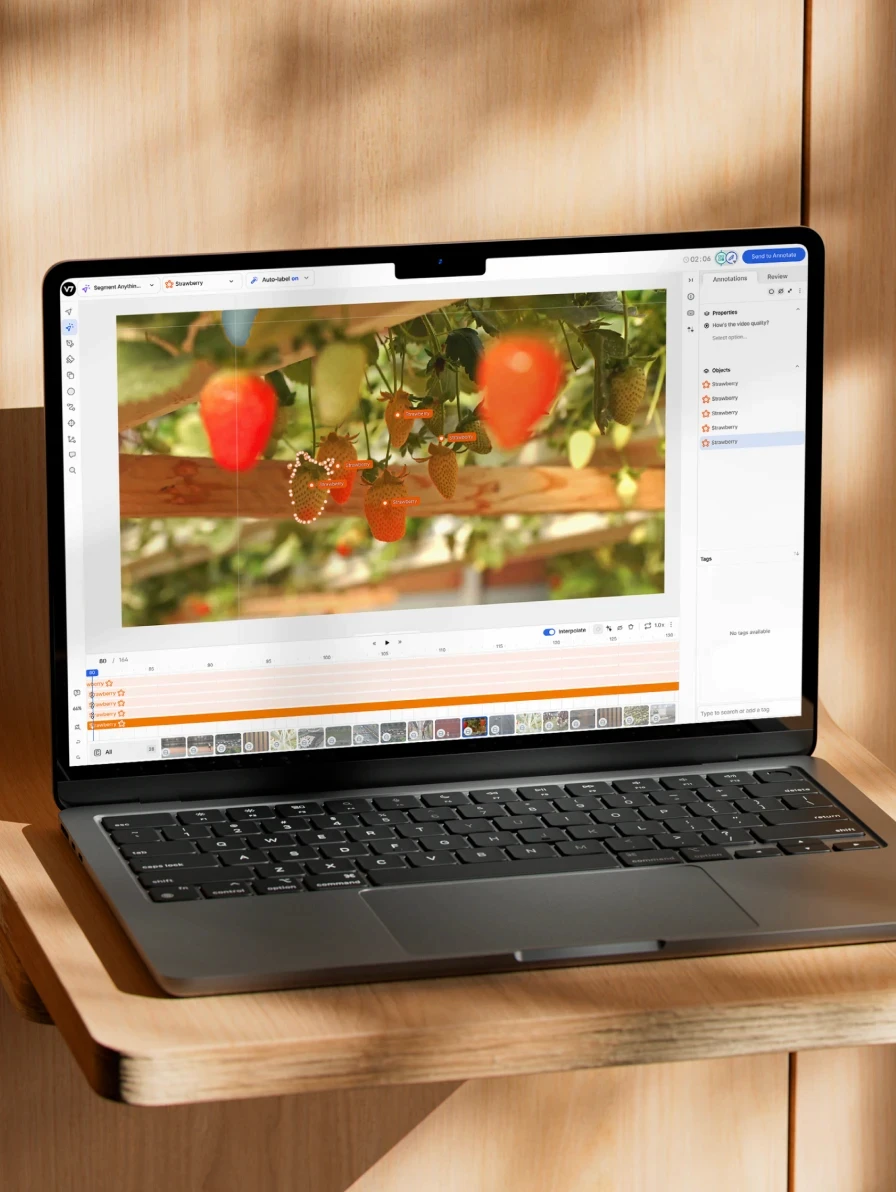 Photo of strawberry video annotation on a Laptop