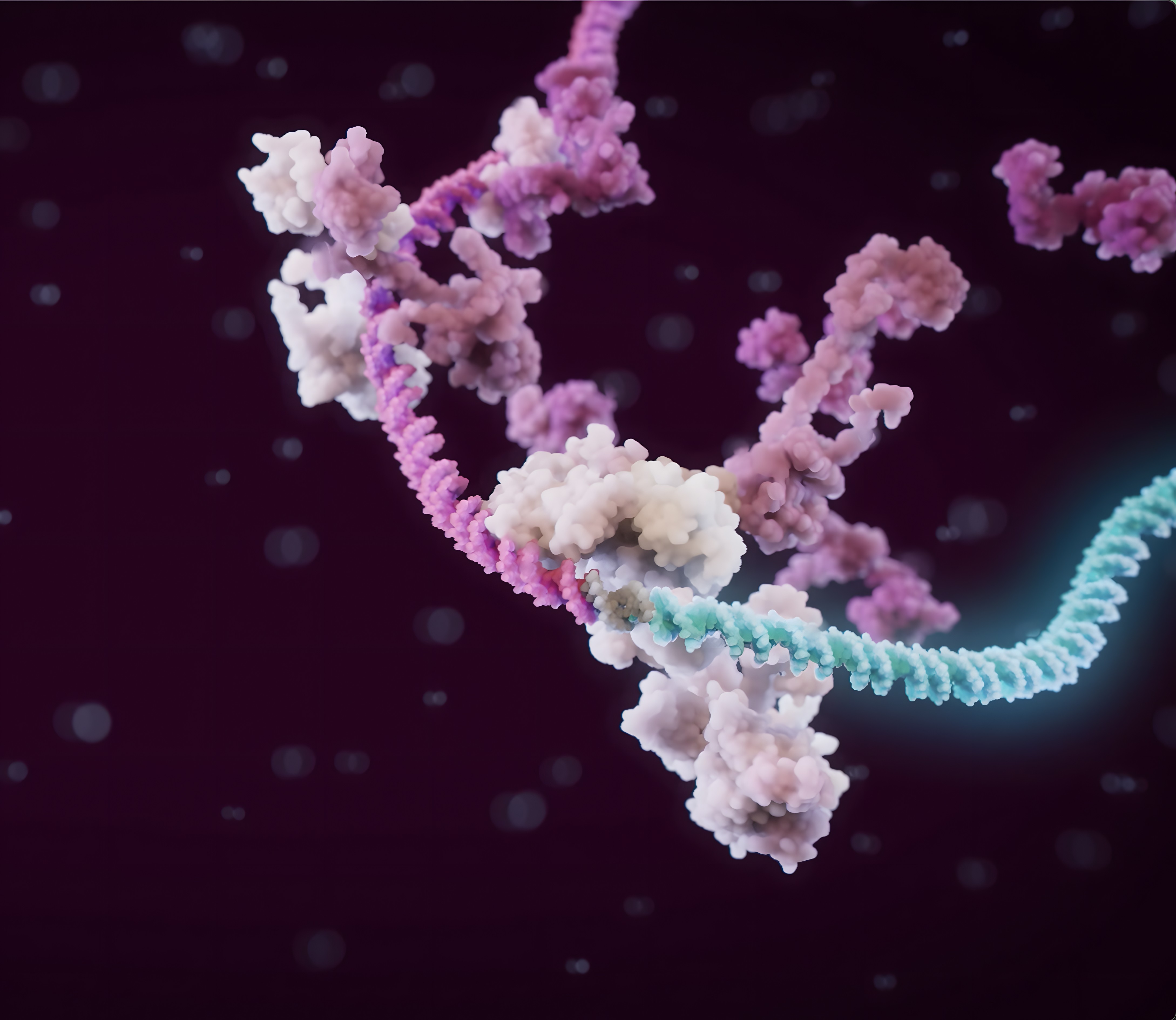 Synthetic super enhancer elements of the gene construct get activated by cellular transcription factors