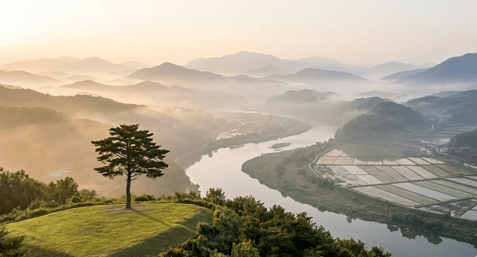 맞춤장례서비스