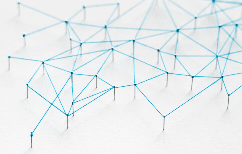 person sitting on grass and using phone