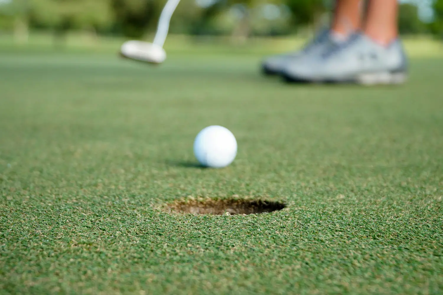 ApexGolf's AI coaching and fitness training constantly adapts to your goals, schedule and progress