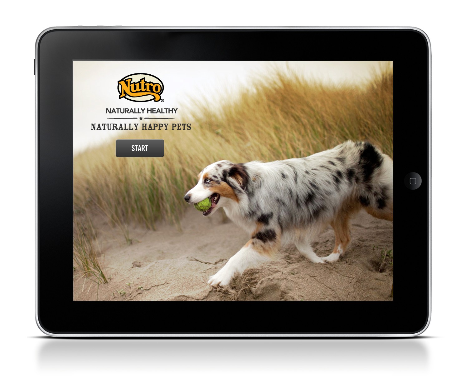 Nutro Pet Sales App Start Screen