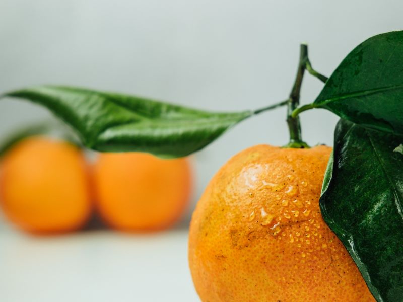 Chinotto