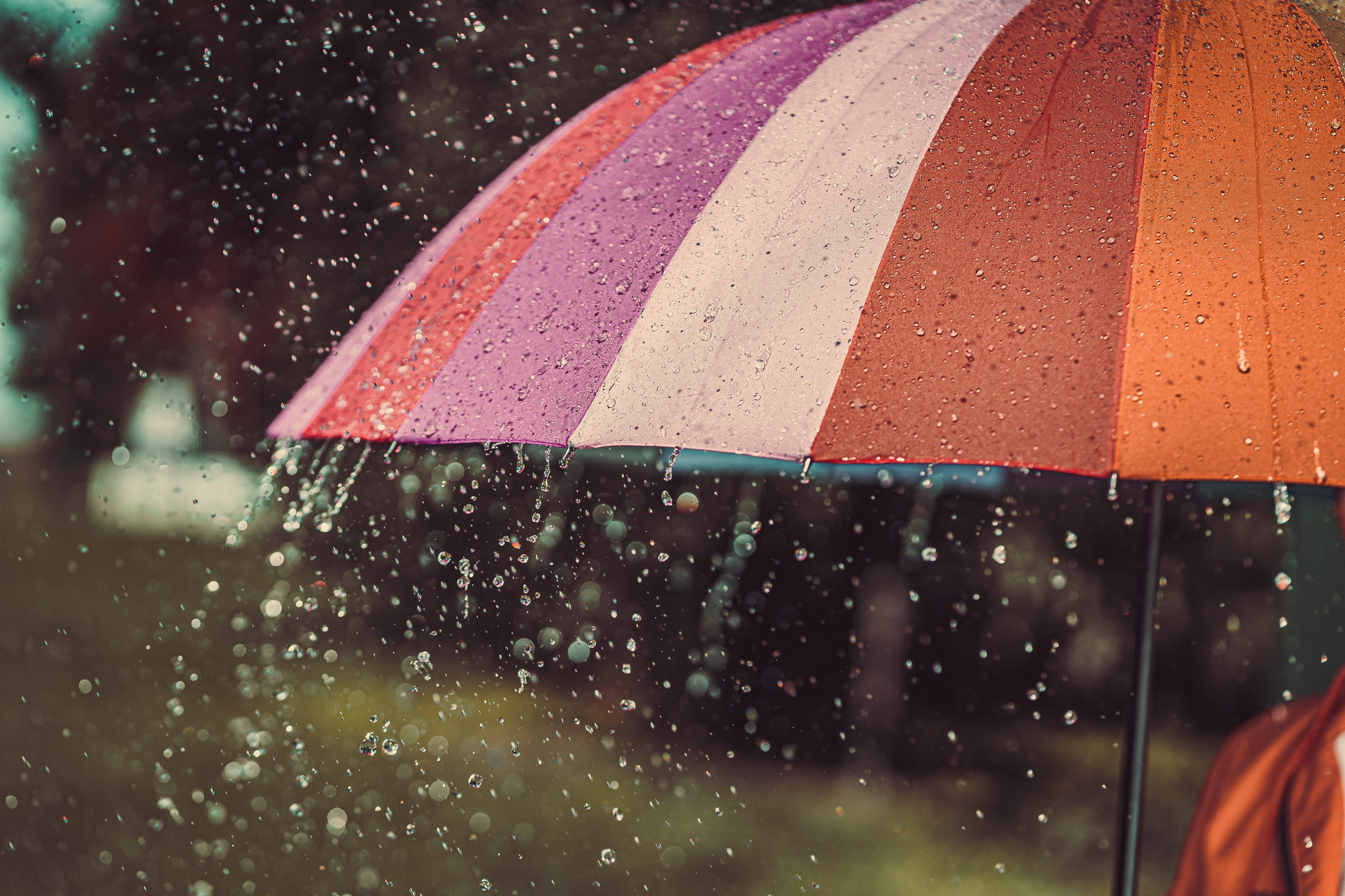 A person holding a red umbrella while walking on a wet path in a park in autumn.